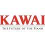 KAWAI Grand Piano Black Polish 229cm GX7MEP-HANKE