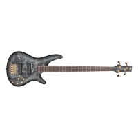 IBANEZ SR Standard Series Electric Bass / Black Ice Frozen Matte	SR300EDXBZM