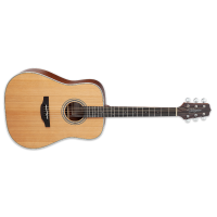 TAKAMINE Acoustic Dreadnought Guitar     GD20NS
