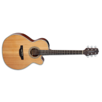 TAKAMINE Electro-acoustic Jumbo/NEX Guitar. GN20CENS