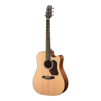 WALDEN NATURA 500 Electro-Acoustic Guitar D550CEW front