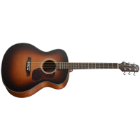 WALDEN Natura Solid Cedar Top Grand Auditorium Electro-Acoustic Guitar with Gigbag	G570ETBW