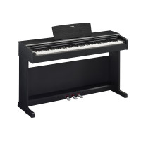 YAMAHA Digital Piano / Black YDP145B