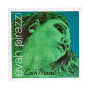 PIRASTRO Violin Strings Set Evah Pirazzi 419021