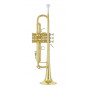 BACH Trumpet Stradivarius Ser. No 731245 18043