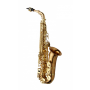 YANAGISAWA Alto Saxophone - Elite Bronze w/case  700.740  	AWO20