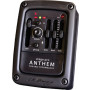 LRBAGGS Stage Pro Mixing Tuner Preamp w/Terminated Element & Anthem Mic & 3mm PSH STAGEPROANTHEM
