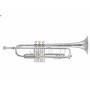 BACH Trumpet Stradivarius 50th Anniversary Silver Ser. No: 729597 190S37