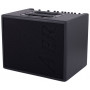 AER Compact Classic Pro (200w 2-ch, 2-inp line) CPC