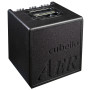 AER Cubello (80w 2-Ch, 2 inp. line+mic)	CUBE