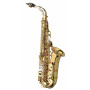 YANAGISAWA Alto Saxophone - Elite (Silver Neck & Body) with case  700.755  AWO30