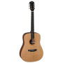 DUKE Acoustic Guitar D-MC
