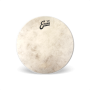 EVANS Tom Head Calftone 12" TT12C7