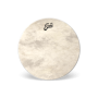 EVANS Bass Drum Head EQ4 Calftone 22" BD22GB4CT
