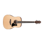 IBANEZ Advanced Acoustic Series Acoustic Guitar / Natural (Low Gloss)	AAD50LG