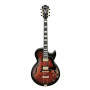 IBANEZ Electric Guitar Classic Hollowbody / Dark Brown Sunburst	AG95QADBS