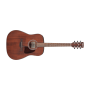 IBANEZ Artwood Series Acoustic Guitar AW54OPN