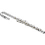 JUPITER Flute for Children with Curved Headjoint  JFL700UD