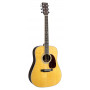 MARTIN Western Guitar - Standard Series with Case.  D35