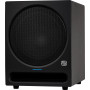 PRESONUS Eris® Pro Sub 10 Active Subwoofer / Black 	2777506132