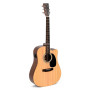 SIGMA E/A Western Guitar with Cutaway DMCSTE