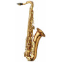 YANAGISAWA Tenor Saxophone - Professional WO Series / Bronze TWO2