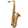 YANAGISAWA Tenor Saxophone - WO Series Elite / Bronze TWO20