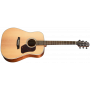 WALDEN Solid Wood E/A Dreadnought Guitar with Gigbag D740EW