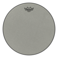 REMO Ambassador Renaissance 10" / Textured RA0010SS
