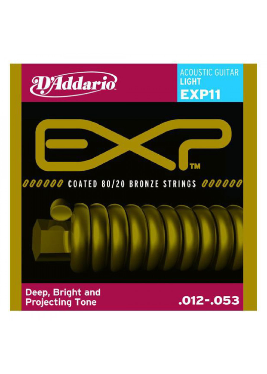 Exp11 strings shop