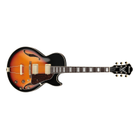 IBANEZ AG seeria Artcore hollowbody elektrikitarr / Brown Sunburst	AG75GBS