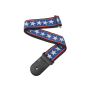 D´ADDARIO Kitarririhm / Stars & Stripes   50A10