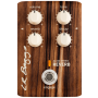 LRBAGGS REVERB Pedal for Acoustic Instruments	AlignReverb