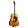MARTIN Acoustic Guitar D-18 StreetLegend®  with Case. D18