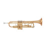 YAMAHA European Atelier seeria trompet YTR8335EA