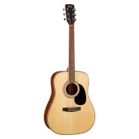 CORT Standard Series Acoustic Guitar AD880NS front