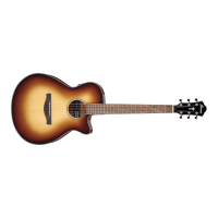 IBANEZ AEG Series Electro-acoustic Guitar 	AEG50DHH