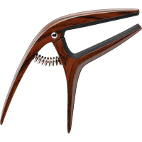 IBANEZ Capo UNIVERSAL	ICGC10W