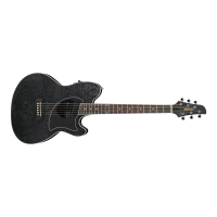 IBANEZ Talman Series Electro-acoustic Guitar	TCM50GBO