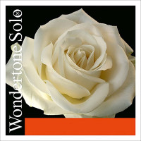 PIRASTRO Violin Single Wondertone SOLO D / Synthetic Sterling-Silver Wound.	410321
