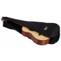CORT Classic Guitar with Bag / Open Pore	AC100OP