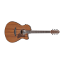 IBANEZ Advanced Acoustic Series Electro-acoustic Guitar   AAM54CEOPN