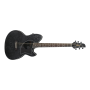 IBANEZ Talman Series Electro-acoustic Guitar	TCM50GBO