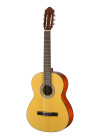 WALDEN Solid Top Classical Guitar N450W front