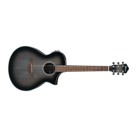 IBANEZ AEWC Series Electro-acoustic Guitar  AEWC11TCB