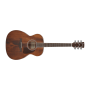 IBANEZ Artwood Series Acoustic Guitar / Open Pore Natural	AC340OPN