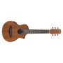 IBANEZ EWP Series Piccolo Guitar with Gigbag  EWP12EWBOPN