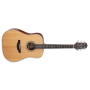 TAKAMINE Acoustic Dreadnought Guitar     GD20NS