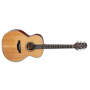 TAKAMINE Acoustic Jumbo (NEX) Guitar GN20NS