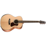 WALDEN Natura Solid Spruce Top Armrest Grand Auditorium Electro-Acoustic Guitar with Gigbag	G550REW